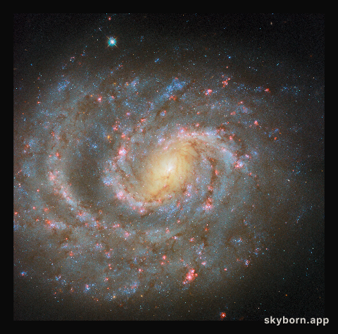 Signs of the stellar lifecycle