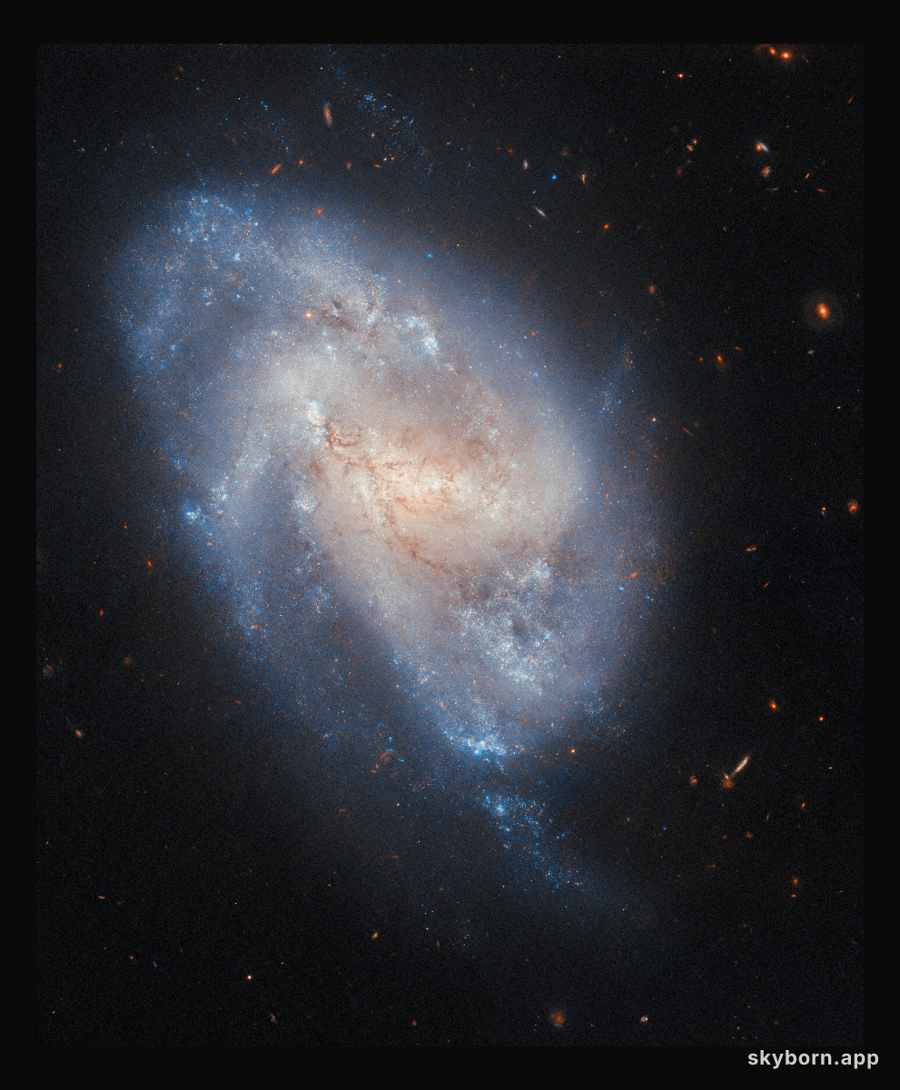 A supernova checkup