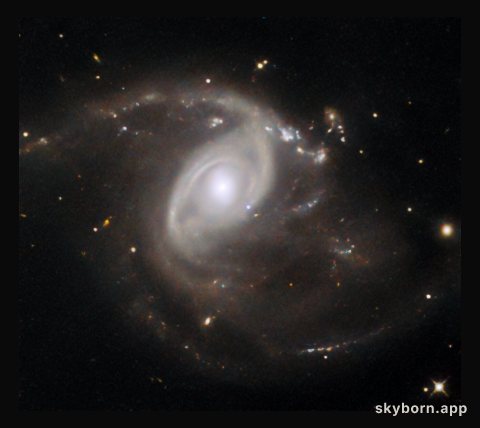 Pale blue (supernova) dot