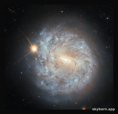A spiral and a star