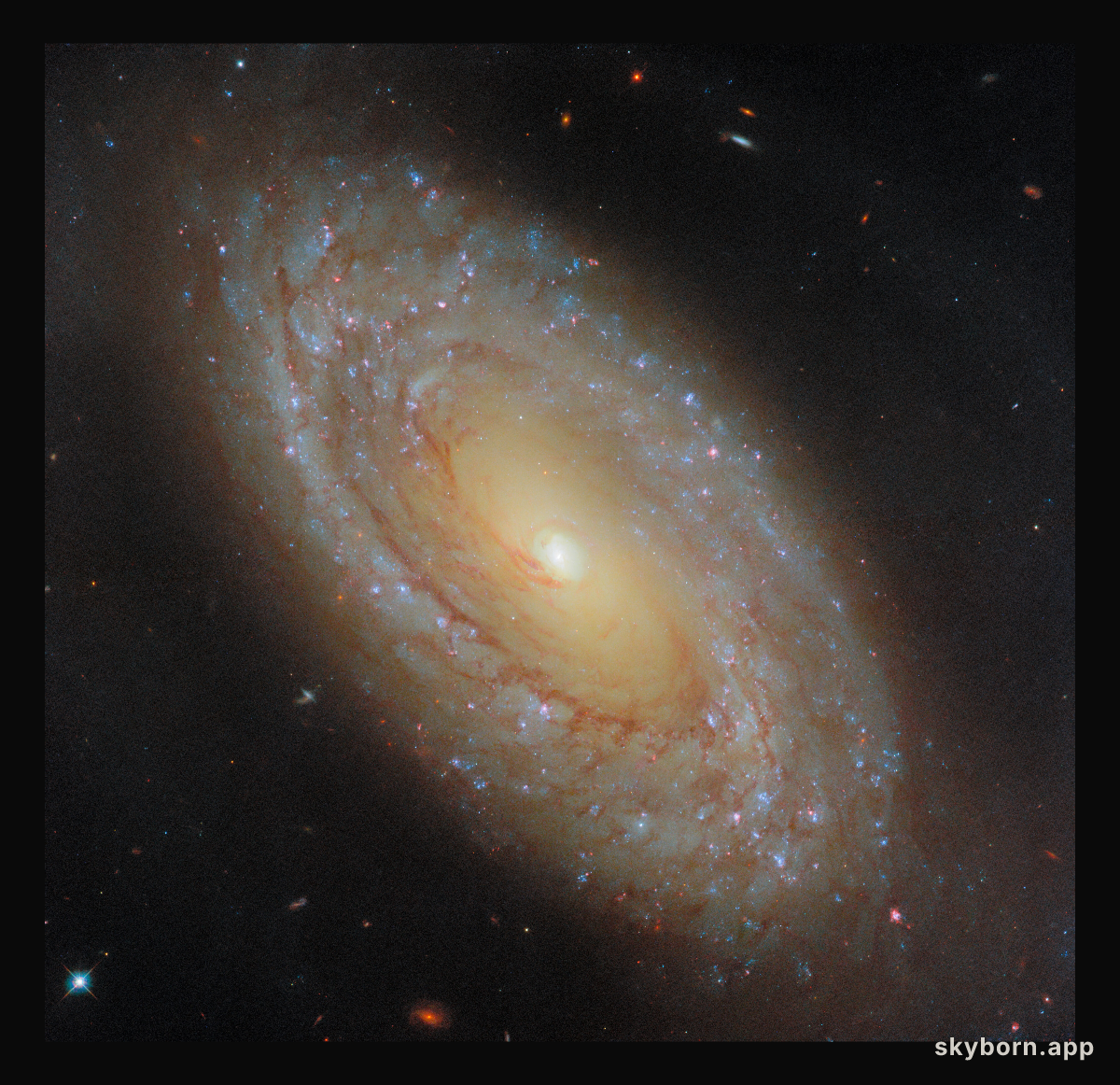 A galaxy that gives great feedback