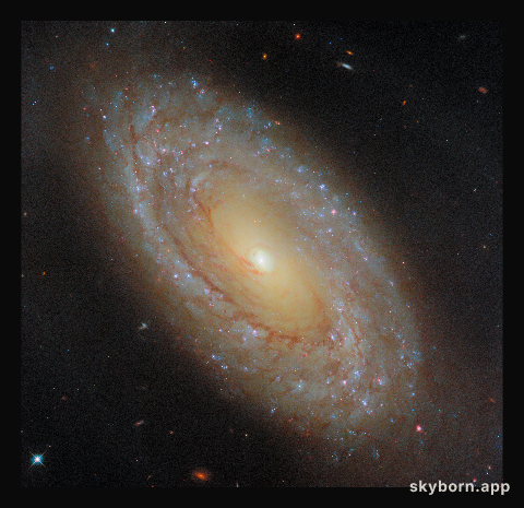 A galaxy that gives great feedback