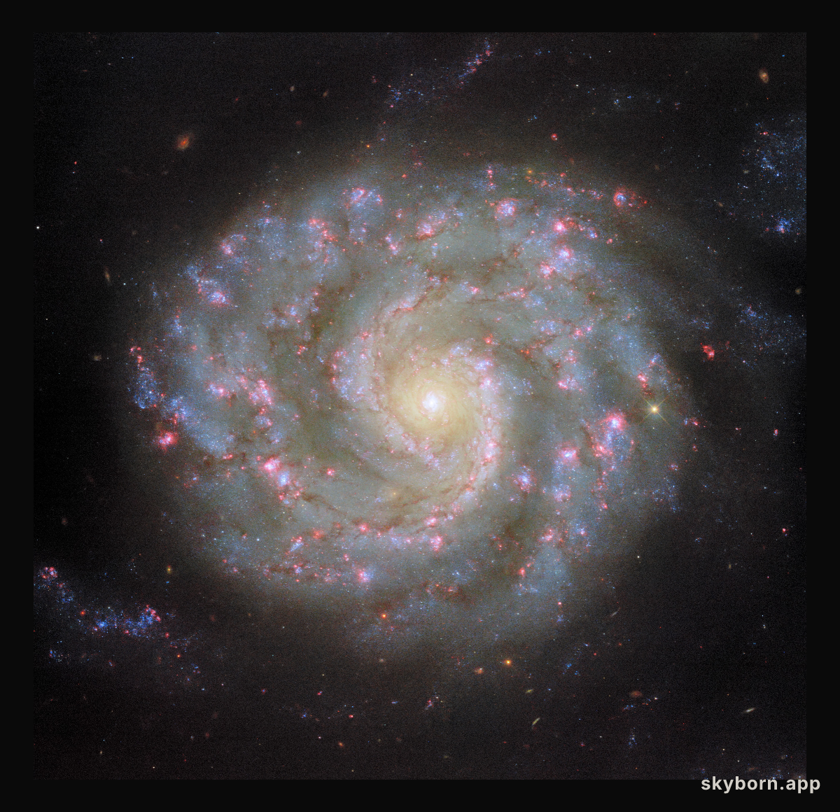 Face to face with a spiral’s arms
