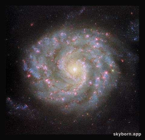 Face to face with a spiral’s arms