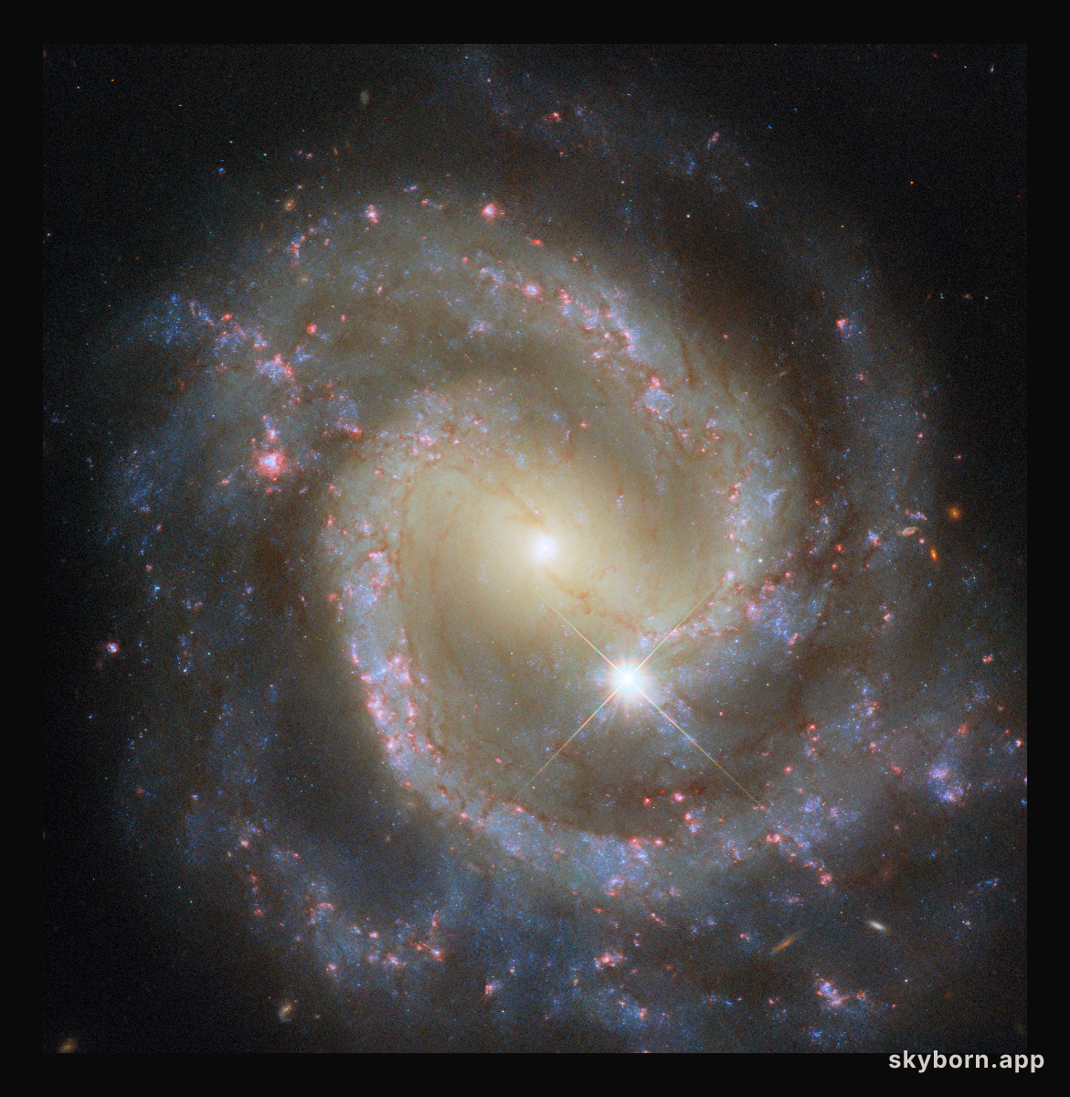 Paired pinwheel seen solo