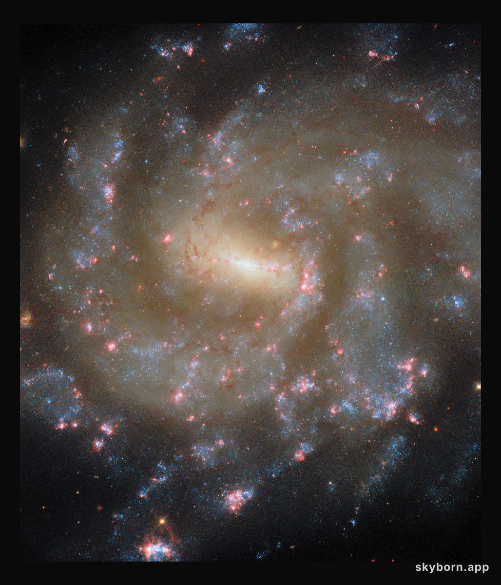 Starry spectacle