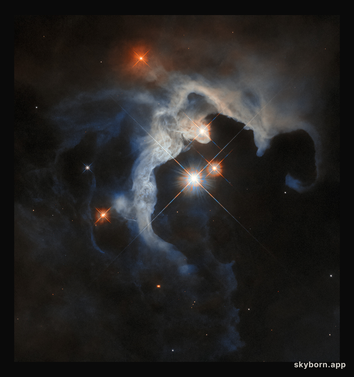 The young stars of Taurus