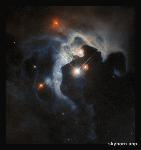 The young stars of Taurus