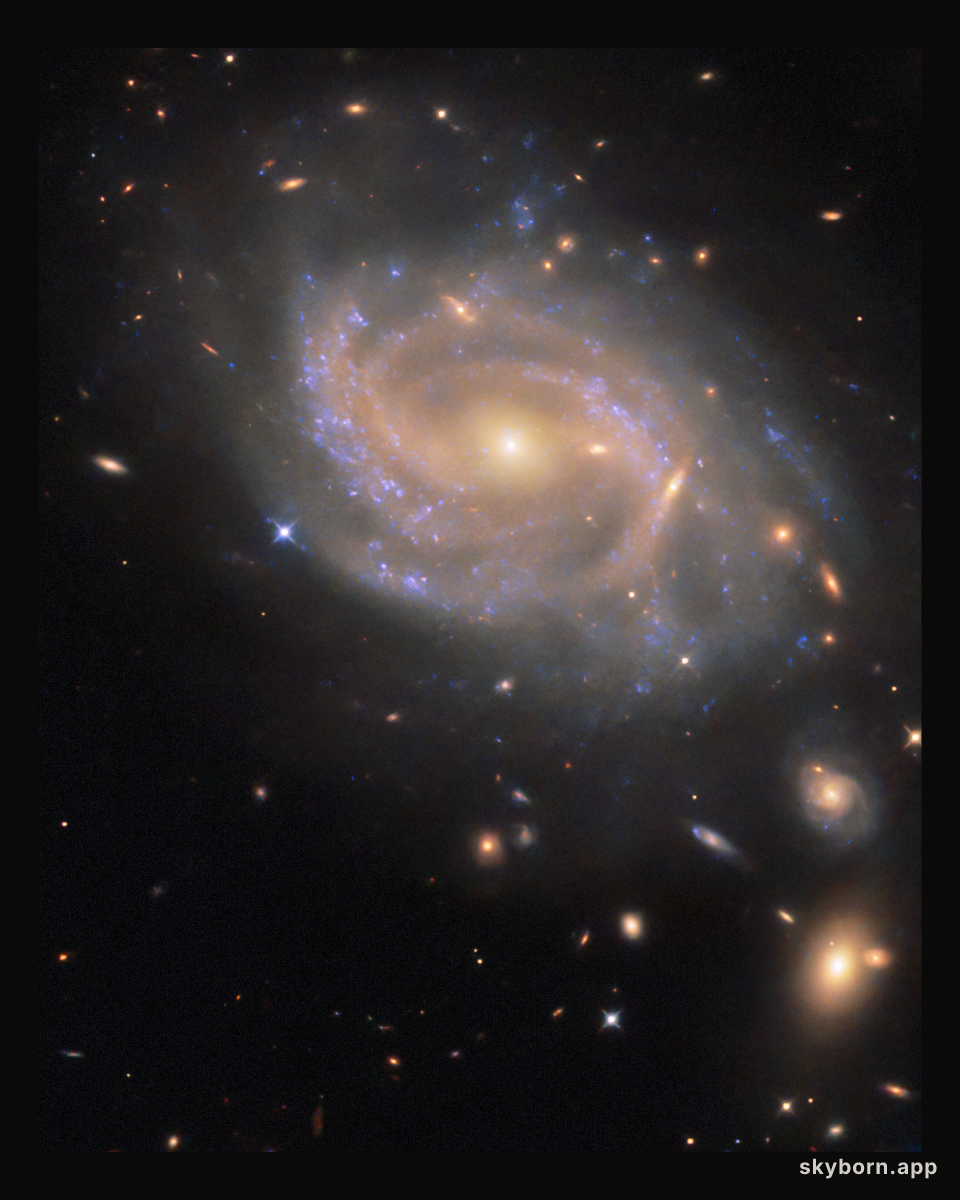 Swirling spiral in Hydra