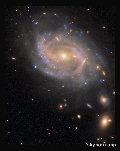 Swirling spiral in Hydra