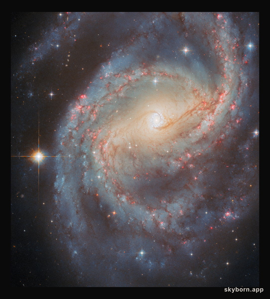 Starbursting centre