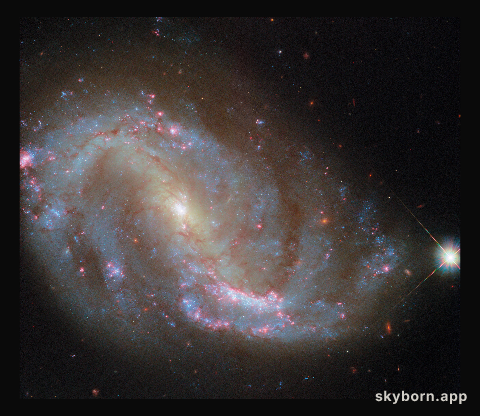 A well-studied spiral
