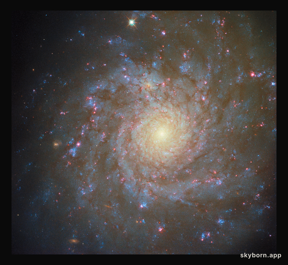Spiralling star factory