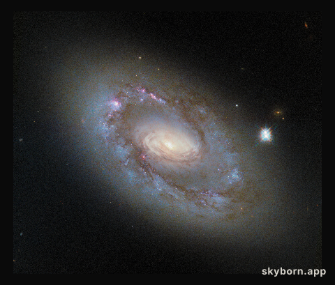 Revisiting an unusual spiral