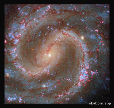Finding star clusters in the Lost Galaxy
