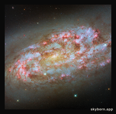 A storm of new stars