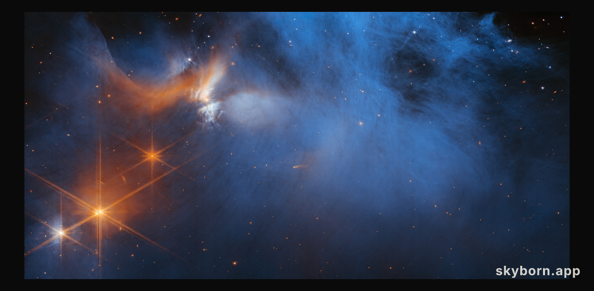 Webb’s View of the Molecular Cloud Chameleon I