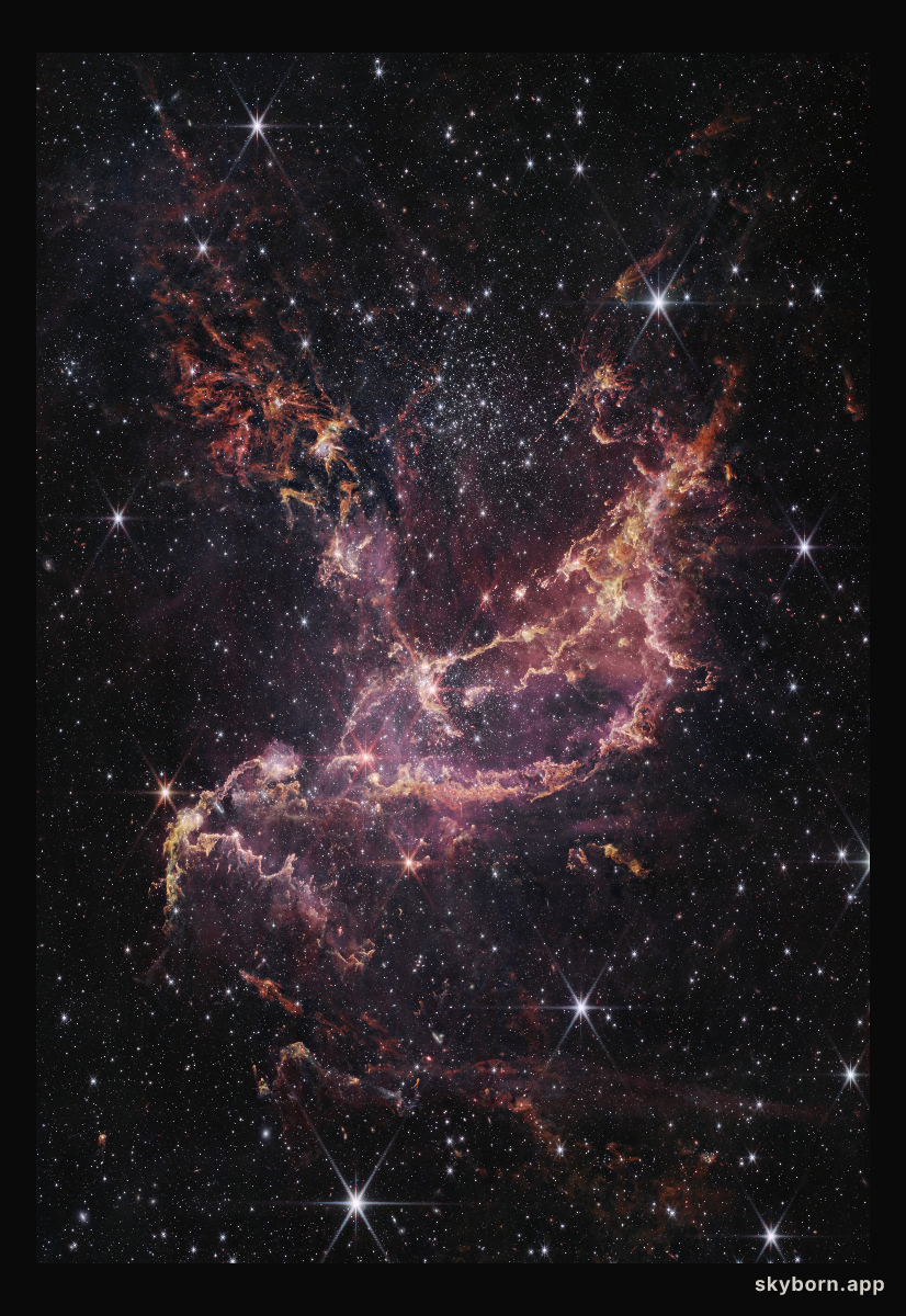Webb Inspects NGC 346 (NIRCam Image)