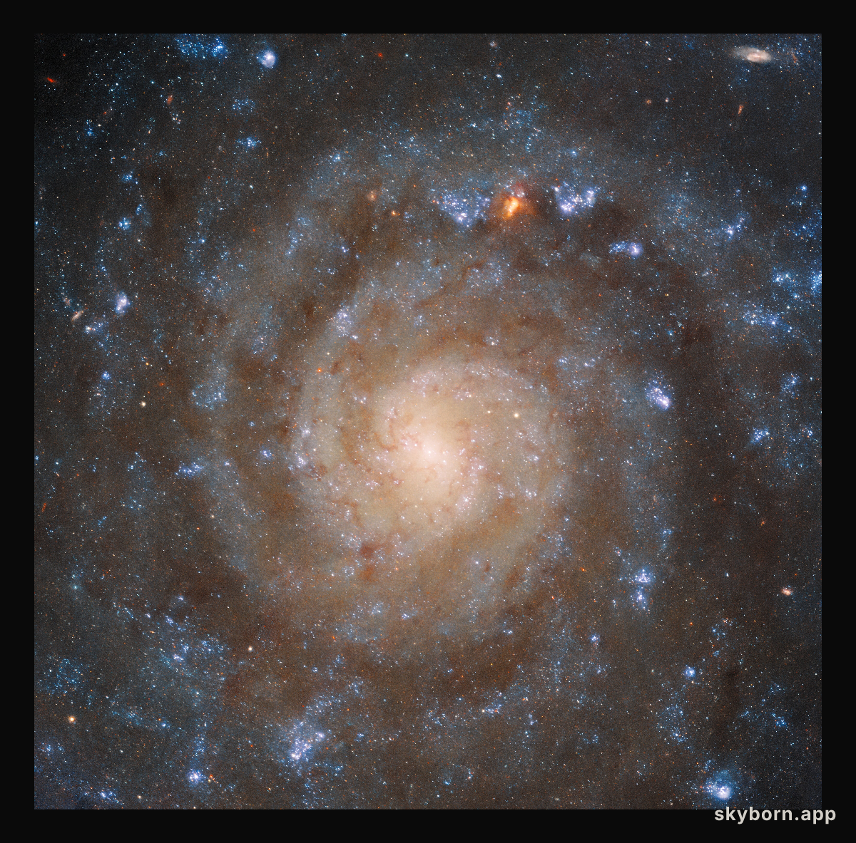 Hubble Sees the Big Picture of a Complex Galaxy