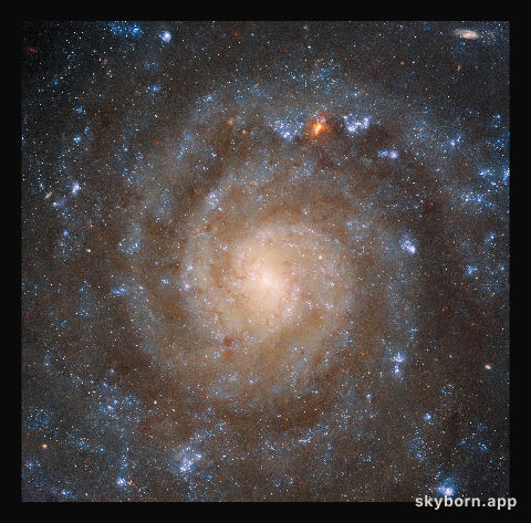 Hubble Sees the Big Picture of a Complex Galaxy