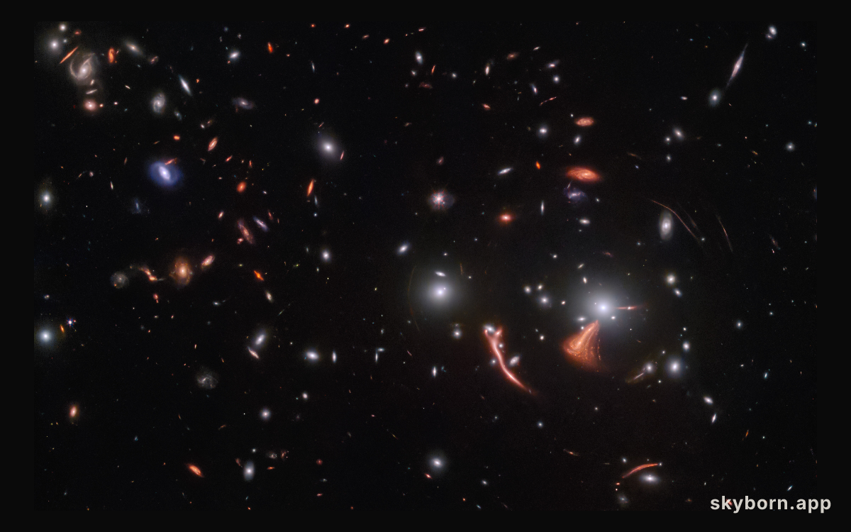 Cosmic seahorse
