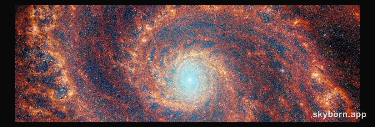 A FEAST for the eyes