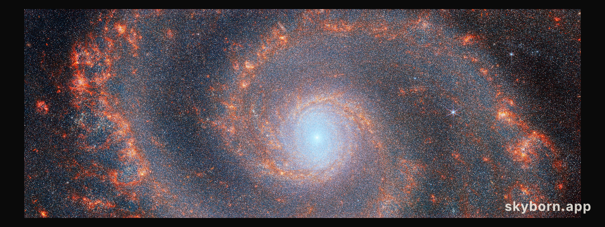 M51 (NIRCam image)