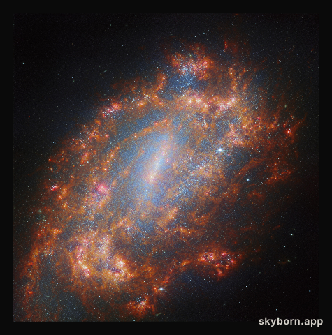 A galactic treasury