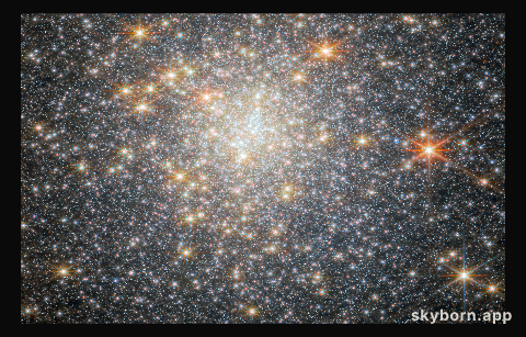 Star-studded cluster