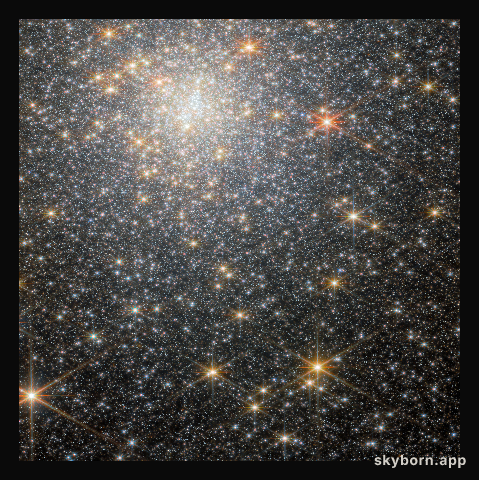 Star-studded cluster (NGC 6440 NIRCam wide-field image)