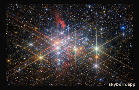 The exotic stellar population of Westerlund 1
