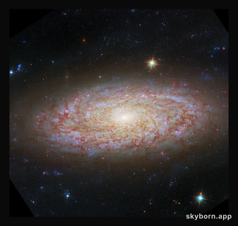 Viewing a flaky disc