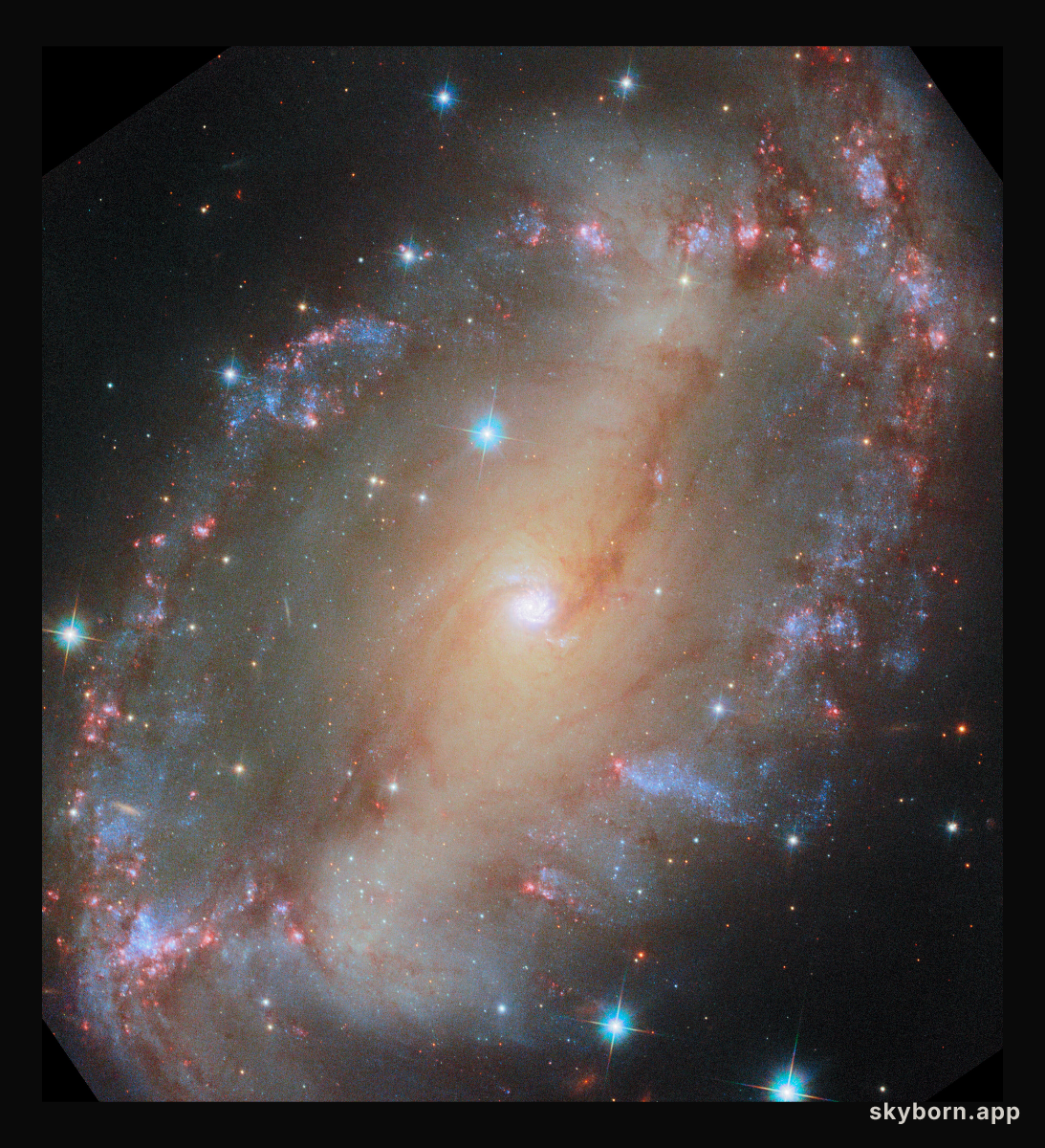 NGC 2566 (HST image)