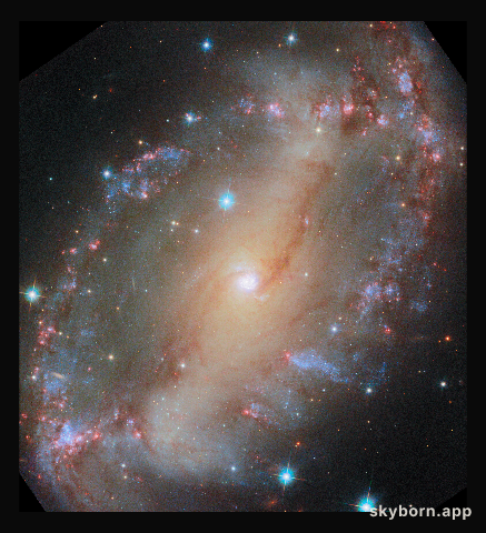 NGC 2566 (HST image)