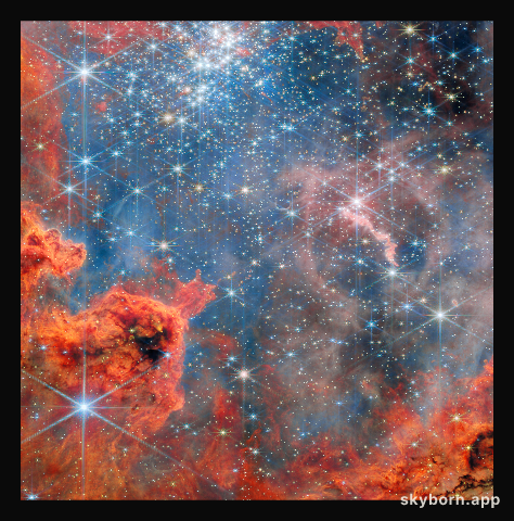 Dwarf stars in a glittering sky