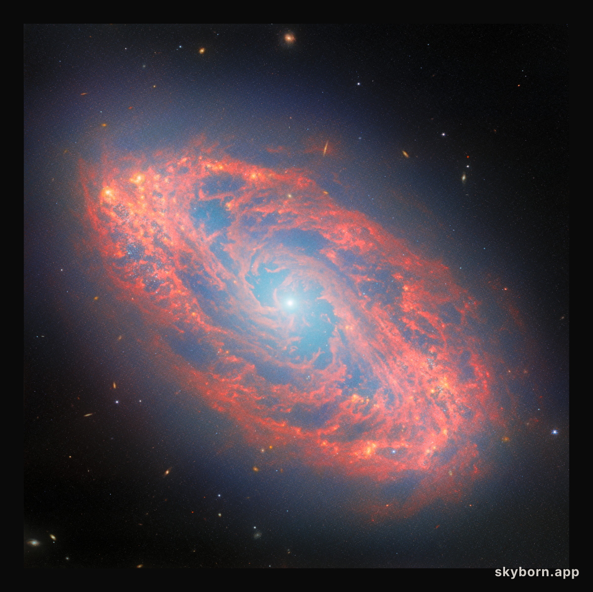 The stellar lifecycle in a nearby spiral