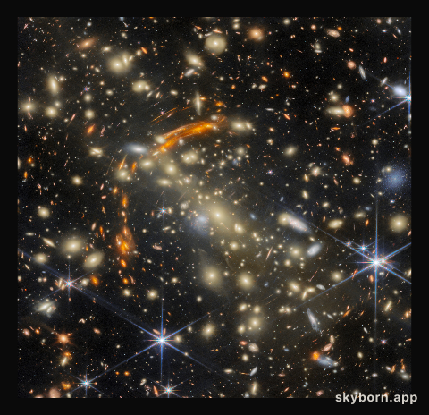 Galaxies in a cosmic house of mirrors