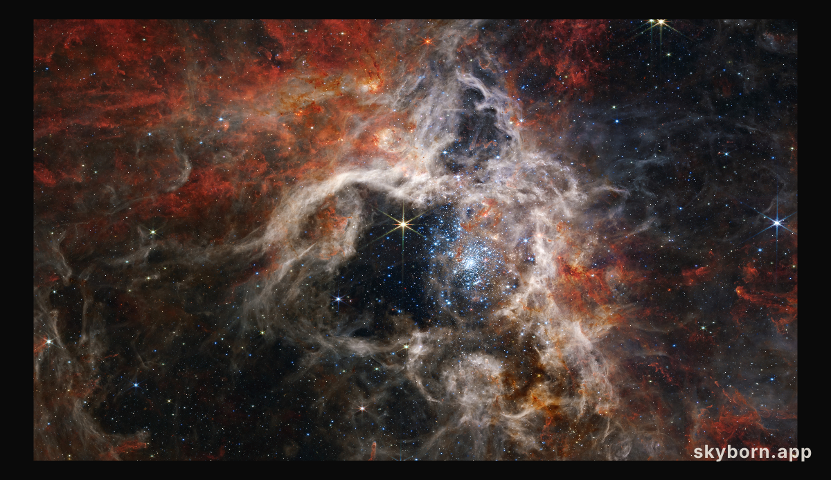 Tarantula Nebula (NIRCam Image)