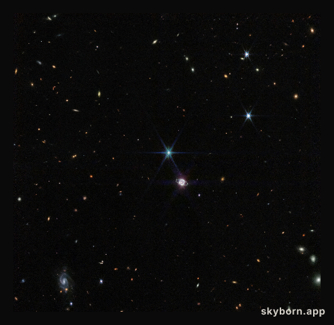 Neptune Wide-Field (NIRCam Image)