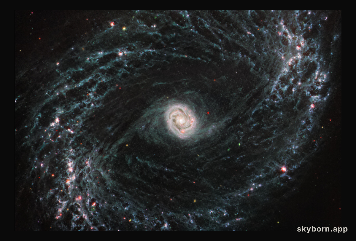 NGC 1433 (MIRI Image)