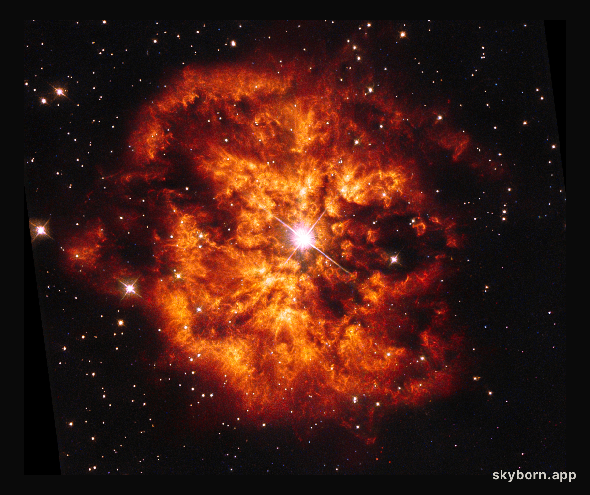 Hubble’s view of Wolf-Rayet 124
