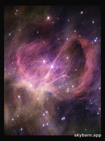 Star Cluster IC 348 (NIRCam image)