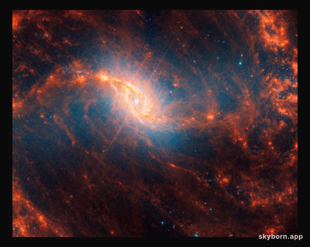 NGC 1365