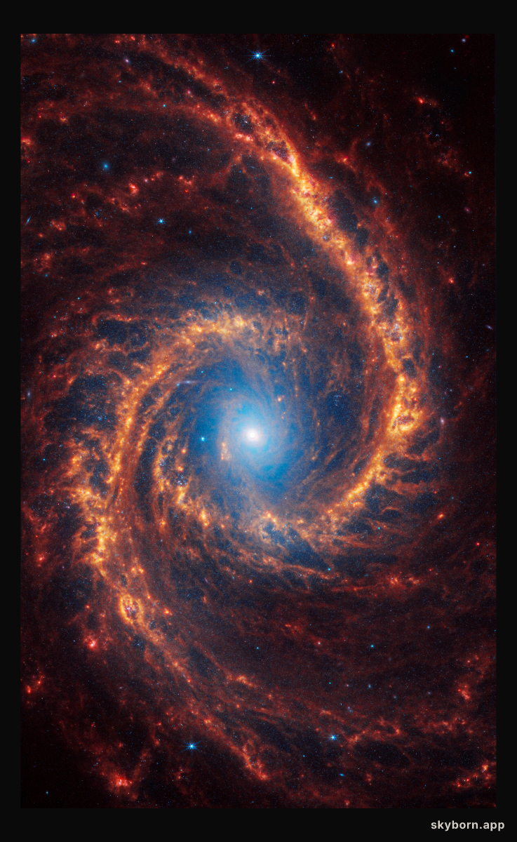 NGC 1566