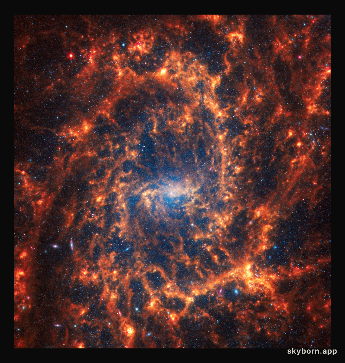 NGC 2835