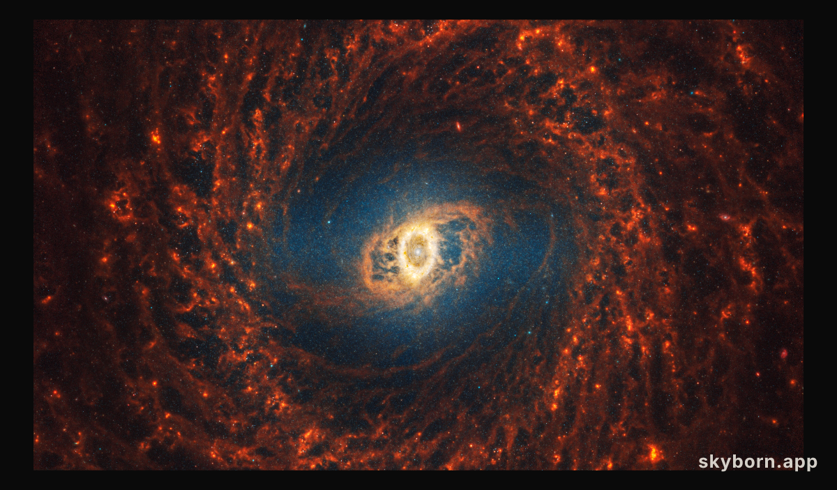 NGC 3351