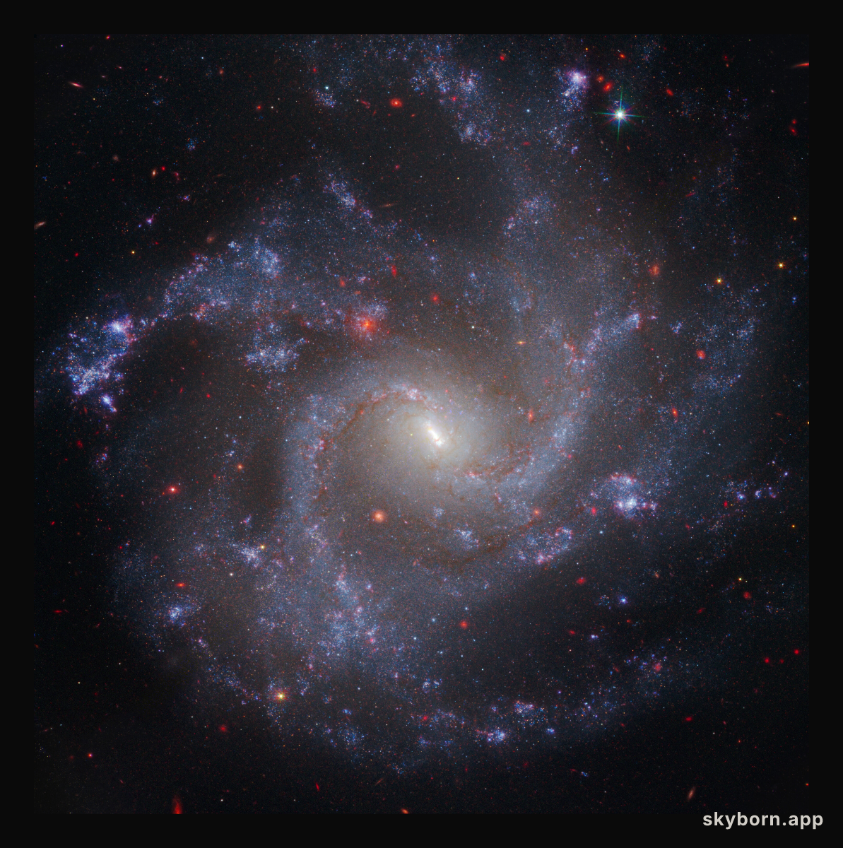 NGC 5468: Cepheid host galaxy