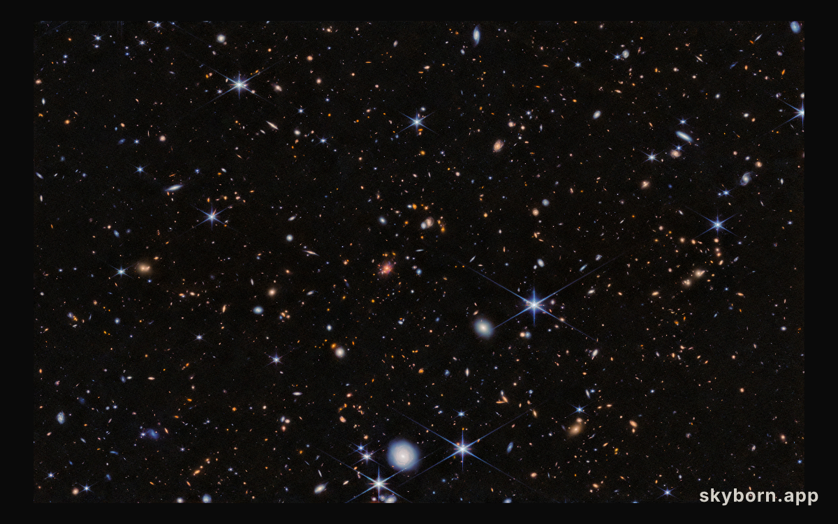 Spiderweb Protocluster (NIRCam)