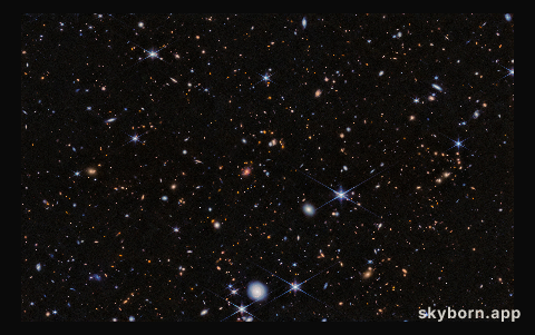 Spiderweb Protocluster (NIRCam)