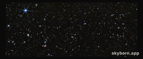 COSMOS Field (NIRCam clean image)
